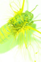 010604_0785_0013_lsls.jpg