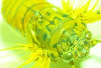 010604_0785_0011_lsls.jpg