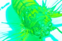 010604_0785_0010_lsls.jpg