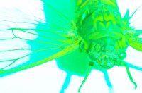 010604_0785_0009_lsls.jpg