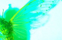 010604_0785_0007_lsls.jpg