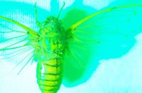 010604_0785_0006_lsls.jpg