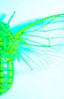 010604_0785_0003_lsls.jpg