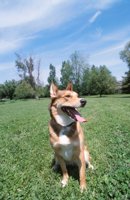 010601_0784_0017_nsls.jpg