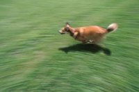 010601_0784_0016_nsls.jpg