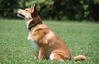 010601_0784_0011_nsls.jpg