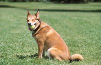 010601_0784_0010_nsls.jpg