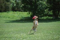 010601_0784_0008_nsls.jpg