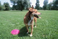 010601_0784_0005_nsls.jpg