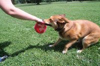 010601_0784_0003_nsls.jpg