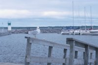 010529_0776_0009_nsls.jpg