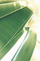 010508_0748_0007_nsls.jpg