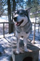 010403_0709_0009_nsls.jpg