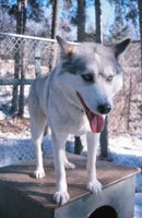 010403_0709_0008_nsls.jpg