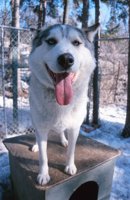 010403_0709_0007_nsls.jpg