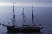 010309_0801_0646_nsls.jpg