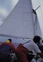 010309_0801_0627_nsls.jpg