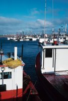 010309_0801_0591_nsls.jpg