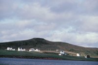 010309_0801_0371_nsls.jpg