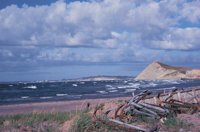 010309_0801_0351_nsls.jpg