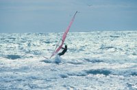 010309_0801_0350_nsls.jpg