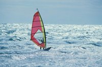 010309_0801_0349_nsls.jpg