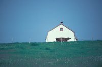 010309_0801_0348_nsls.jpg