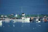 010309_0801_0343_nsls.jpg