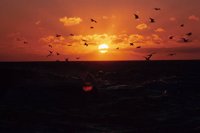 010309_0801_0255_nsls.jpg