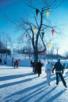010309_0801_0246_nsls.jpg
