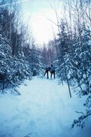 010309_0801_0188_nsls.jpg