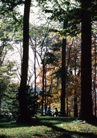010309_0801_0182_nsls.jpg