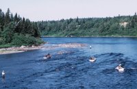 010309_0801_0179_nsls.jpg