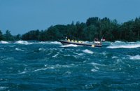 010309_0801_0176_nsls.jpg