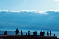 010309_0801_0148_nsls.jpg