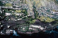 010309_0801_0135_nsls.jpg