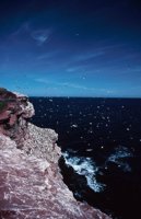 010309_0801_0127_nsls.jpg