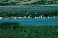 010309_0801_0126_nsls.jpg