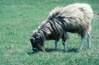 010309_0775_0878_nsls.jpg