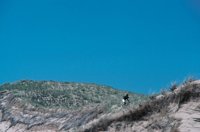 010309_0775_0870_nsls.jpg