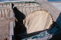 010309_0775_0868_nsls.jpg