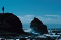 010309_0775_0867_nsls.jpg