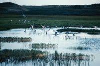 010309_0775_0832_nsls.jpg