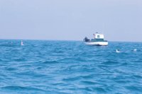 010309_0775_0828_nsls.jpg