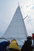010309_0775_0819_nsls.jpg