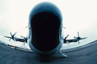 010309_0775_0809_nsls.jpg