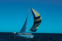 010309_0775_0798_nsls.jpg