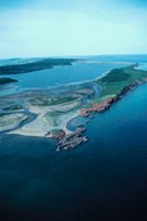 010309_0775_0794_nsls.jpg