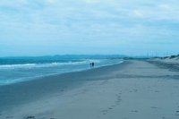 010309_0775_0777_nsls.jpg