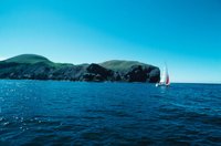 010309_0775_0776_nsls.jpg